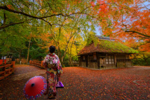 着物の着た女性と紅葉の景色